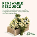 Greenes Fence Cedar Wood Planter Box, 21" x 11" x 7" (4-Pack) - Made in USA with North American Cedar by GreenHaven Gardens