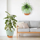GARDIFE Large Hanging Planter, 12 inch Hanging planters for Indoor. Outdoor Plants, Self Watering Plant Pot, Plant Hanger, Green by GreenHaven Gardens