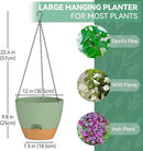 ZMTECH 12 Inch Hanging Planters for Indoor Outdoor Plants, 1 Pack Self Watering Hanging Plant Pots with Drainage Holes and Removable Saucer, Plastic Flower Hanging Pots with Watering Lip (Green) by GreenHaven Gardens