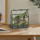 Ferrisland Glass Terrarium Plants with Lid, Black Geometric Terrarium Jar for Succulent Air Carnivorous Plant Moss Snail, House Shape Mini Tabletop Greenhouse Indoor Decor DIY Present (Only Terrarium) by GreenHaven Gardens