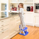 SKYROKU Potty Training Toilet, New Sector-Shape Stabilized Base two in one Toddler Toilet Seat with Splash Guard, Anti Slip Pad, and Step Stool Dark Blue by TinyTreasures Baby Boutique