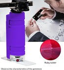 EasyMicro LED Lighted Pocket Microscope 60-120X Magnification Purple Color by TinyTreasures Baby Boutique