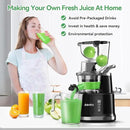 Aeitto Cold Press Juicer with Large Feed Chute, Large Capacity, Juicer Machines for Fruits and Vegetables, Slow Masticating Juicer Self Feeding, Easy to Clean, High Juice Yield by CozyNest Decor