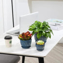 Ceramic Plant Pots with Drainage Holes and Saucers, Round Blue Flower Pots for Indoor Plant, Diameter 3.3/4.3/5.5 Inches Small Mini Flower Planters Set of 3 by CozyNest Decor