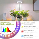 LORDEM Grow Light, LED Plant Light for Indoor Plants Growing, Full Spectrum Desk Growth Lamp with Automatic Timer for 4H/8H/12H, 4 Dimmable Levels, Height Adjustable 9.8"-30.6", Pack of 2 by GreenHaven Gardens