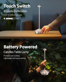 Modern Cordless Table Lamp Set of 2, Portable LED Desk Lamps, 5000mAh Rechargeable Battery Operated Lighting for Bedroom Dining Room Restaurant Coffee Shop Camping Night Light (Brushed Nickel) by CozyNest Decor