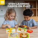TOY Life Wooden Puzzles for Toddlers 2-4, Toddler Montessori Toys for 1 2 3 Year Old Boys Girls, Animals Wood Jigsaw Puzzles, Educational Learning Toy Kids Puzzle, Best Gifts for Baby Age 1-3 2-4 by TinyTreasures Baby Boutique