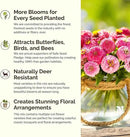Eden Brothers Tickled Pink Flower Mixed Seeds for Planting, 1/4 lb, 120,000+ Seeds with Cosmos, Cornflower, Zinnia | Attracts Pollinators, Plant in Spring or Fall, Zones 3, 4, 5, 6, 7, 8, 9, 10 by GreenHaven Gardens