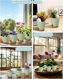 12 Pack 4 Inch Self Watering Plant Pots with Drainage and Saucers，Plastic Flower Pots for Indoor and Outdoor Plants, Nursery Planters for Houseplants and Herbs Green Brown, 4 inch 12pcs by GreenHaven Gardens