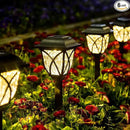 GIGALUMI Solar Lights Outdoor Waterproof, 6 Pack LED Solar Garden Lights, Solar Lights for Outside, Garden Decor for Yard, Patio, Landscape, Planter, Walkway (Warm White) by GreenHaven Gardens