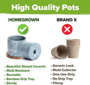 HOME GROWN Indoor Herb Garden Kit w/Glazed Ceramic Pot - Easy-to-Grow Kitchen Window Gardening Starter Set - Unique Housewarming Gift for Women, Mom, Gardeners, Friend, Her, Mother by GreenHaven Gardens