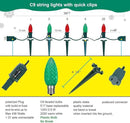 C9 Christmas Pathway Lights with Stakes,Red Green,30 Ft 20 Strawberry LED Bulbs and Stakes,Connectable Shatterproof Outdoor Lights Marker for Xmas Yard Garden Path Lawn Walkway Sidewalk by GreenHaven Gardens