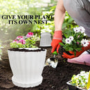 Flower Pots Outdoor Clearance 6 inch Set of 5 Succulent Planters for Indoor Plants Garden Home Holiday, Plastic Nursery Pots for Plants with Drainage Holes and Saucer, Modern Plant Pot White by GreenHaven Gardens