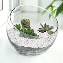 5 lbs White Aquarium Gravel, 1/5 Inch White Rocks for Plants, Small Pebbles for Vases, Succulents, Bamboo, Natural Decorative Pebbles for Plants Drainage, Cactus, Crafts by CozyNest Decor
