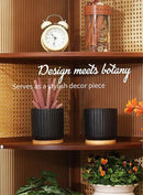 TAMAYKIM 4 Inch Small Cylinder Ceramic Plant Pots with Drainage Holes, Modern Indoor Planters with Tray for Aloe, Succulent, Snake Plants, Cactus & Herbs, Black, Set of 4 by CozyNest Decor