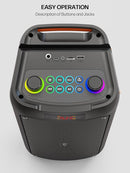 Karaoke Machine for Adults, Portable Bluetooth Speaker with 2 Wireless Microphones, PA System with Disco Lights for Big Party, Outdoor, Supports USB/TF/REC/FM/AUX, Ideal Gifts for Family, Music Lover by TinyTreasures Baby Boutique