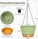 QCQHDU 2 Pack Hanging Planters for Indoor Outdoor Plants, 8 Inch Hanging Baskets Flower Pots with Reservoir Tray & Visible Water-Level by CozyNest Decor