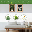 Wooden Frame Wall Hanging Planter for Hydroponic Plants，12X16 inch Wall Vase with Round Acrylic Propagation Station，Bathroom, Office, or Living Room Décor, Set of 2 Mix by CozyNest Decor