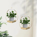 Hanging Planters for Indoor Plants, Plant Hanger with Sturdy Wood Base,Modern Boho Macrame Plant Hanger,Wall Ceiling Window Stands(Plants/Pots Not Included) by GreenHaven Gardens