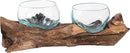 Cape Craftsmen Set of 2 Terrariums | Hand-Blown Blue Tinted Bubble Glass On Natural Teak Driftwood Terrarium | Home Décor Indoor Planter with Stand | Pot for Succulent and Plants by GreenHaven Gardens