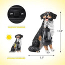 Afirst Dog Garden Statue - Outdoor Decor with Solar Lantern Lovely Bernese Mountain Dog Figurine Patio Lawn Yard Art Ornaments Housewarming Gift by GreenHaven Gardens