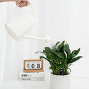 Plastic Indoor Watering Can with Sprinkler Head - 68 oz, 1/2 Gallon by GreenHaven Gardens