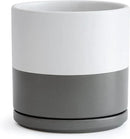 D'vine Dev 8 Inch Ceramic Planter Pot with Drainage Hole and Saucer, Indoor Cylinder Round Planter Pot, White/Speckled Grey, 94-O-D-6 by GreenHaven Gardens