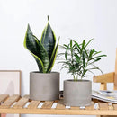 Ekirlin Planters for Indoor Plants, 3.5/4 Inch Plant Pots with Drainage Holes, Removable Rubber Stopper, Non-Slip Soft Pad - Grey Cement Concrete Planter for Most Indoor Outdoor Plants and Flowers by GreenHaven Gardens