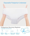 Postpartum Recovery Essentials Kit - Labor Delivery Mom Care Kit - Disposable Postpartum Underwear, Peri Bottle, Postpartum Ice Pack Pads, Reusable Nursing Pads, Herbal Foam, Canvas Bag Set 6 pack by TinyTreasures Baby Boutique