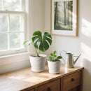 6.7 + 5.5 Inch Plant Pot, Ceramic Planter with Drainage and Saucer，Ceramic Pots for Plants, Indoor Plant pots，Succulent Orchid Flower Pot(Pure White) by GreenHaven Gardens