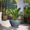 Ceramic Planter - 13 Inch Planter for Indoor Plants Large Plant Pot with Drainage Hole and Saucer Round Outdoor Planter Modern Flower Pot for Home Decor Gray by GreenHaven Gardens
