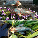 Garden Statues, Koi Fish Decor, Set of 2 Antique Koi Fish Garden Statue,Fish Sculpture Garden for Outdoors, Patio Decor, Backyard and Home Kitchen Decoration by GreenHaven Gardens