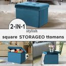 LINMAGCO Storage Ottoman Folding Foot Stool Velvet Foot Rest with Padded Modern Ottoman with Storage for Living Room Puppy Step Stool 17x13x13in(Blue) by CozyNest Decor