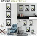 Picture Frame Plant Holder, Window Planter Hanger Shelves,Wall Mount Plants shelf Indoor Outdoor, Metal Hanging Planters Stand Decor,Modern Floating Ornament Rack Art for Home & Garden (Black 3pc) by GreenHaven Gardens