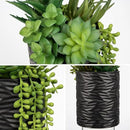 Artificial Succulents in Pots Faux Succulents Plants Fake Succulent Arrangement Potted Plants with Black Ceramic Vase for Office Desk Bathroom Shelf Living Room Indoor Home Decor Large by CozyNest Decor