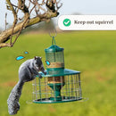 Upgraded Caged Bird Feeders Squirrel-Proof, Flexible Adjustment of Grille Size, 3 Lbs Seed Capacity, DIY Starling-Proof Caged Tube Hanging Wild Bird Feeder, Attract Small Birds(Deep Green) by CozyNest Decor