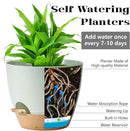 Self Watering Plant Pot with Drainage Hole,Plant Pots Outdoor Flower Pots for Indoor Plants,Modern Green Plastic Self Watering Planters Succulent Pot 7pcs/Set by GreenHaven Gardens