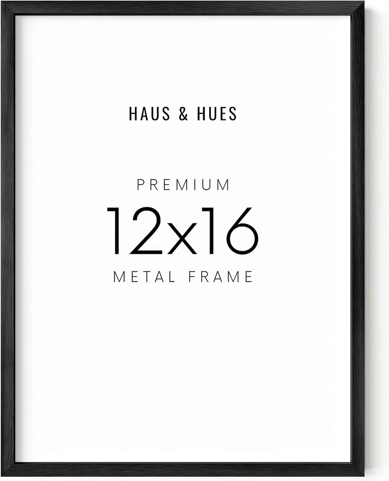 12x16, Black Aluminum Plexi Frame, photo 5 of 5