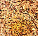 Blood Flower Milkweed Seeds - Food and Host Plant for Monarch Butterflies… by GreenHaven Gardens