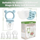 JEXFUN Silicone Baby Fruit Food Feeder Pacifier & Breastmilk Popsicle Freezer Molds for Cooling Relief, BPA Free Silicone Feeder to Safely Introduce New Foods, Double as Teething Toys, 4 Month+ by TinyTreasures Baby Boutique