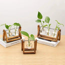 Kingbuy Desktop Glass Planter Iron and Wooden Stand Plant Terrariums for Indoor Office Desk Decor Accessories, 3 Bulb Vases, Brown