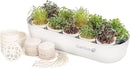 GARDYN Indoor Garden Nursery, Indoor Germination, Hydroponic Growing System - Seed Starter Tray Works with Home Tower Gardens, Vertical Garden Planters & Microgreens Growing Kits by GreenHaven Gardens