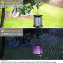 EOYIZW Solar Lights Outdoor, 99 LEDs Solar Lantern - IP65 Waterproof Garden Lights Decor for Halloween Yard Porch Patio 2 Pack by GreenHaven Gardens