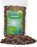Premium Spearmint Plant Potting Mix - Crafted for Thriving Spearmint Growth and Refreshing Aroma - 1 Quart by GreenHaven Gardens