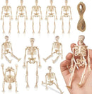 10 Pcs Halloween Mini Skeleton Figurine Decoration,6”Halloween posable Skeleton Decor,Small Plastic Skeleton Figure for Spooky Home Decor Haunted House Decorations Party Favors by CozyNest Decor