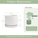 8 Inch Pots for Plants, Ceramic Planter Pot with Drainage Hole & Saucer, Indoor/Outdoor Cylinder Round Planter Pot, Matte White by CozyNest Decor