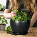 Ceramic Planter Pot - 8 Inch Plant Pot with Drainage Hole and Saucer Round Planter for Indoor Plants Modern Outdoor Flower Pot for House Balcony Black by GreenHaven Gardens