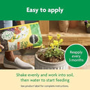 Miracle-Gro Shake 'N Feed All Purpose Plant Food, For In-Ground and Container Plants, Feeds for up to 3 Months, 8 lbs. by GreenHaven Gardens
