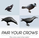 NACH Crow Decor, 4.5 x 11 x 3.5 inch, Cast Iron Black Raven Statue, Raven Decor for Outside - Head Up Crow Statue by GreenHaven Gardens