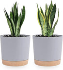 QCQHDU 8 inch Plant Pot, 2 Pack Planters for Indoor Plants with Drainage Holes & Saucer, Outdoor Flower Pots Home Garden Modern Decor by GreenHaven Gardens